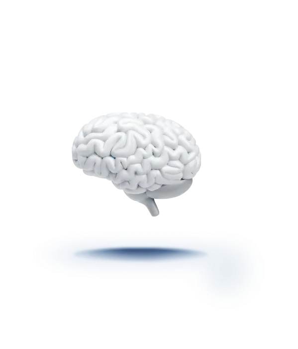 Imagen de un cerebro